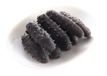 Kantō Sea Cucumber (1st Grade)