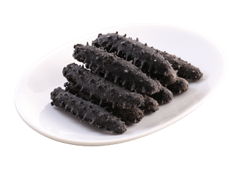 Kantō Sea Cucumber (1st Grade)