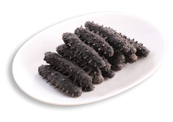 Kantō Sea Cucumber (1st Grade)