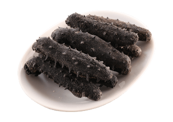 Kantō Sea Cucumber (B Grade)