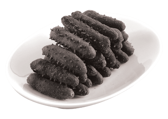 Kansai Sea Cucumber (Featured)
