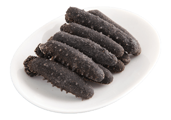 Kansai Sea Cucumber (Featured) (B Grade)
