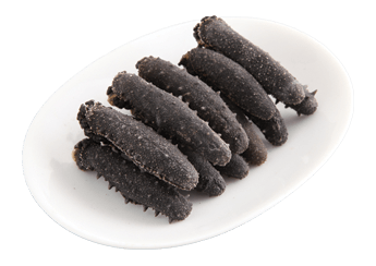 Kansai Sea Cucumber (Featured) (B Grade)