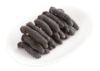 Kansai Sea Cucumber (Featured) (B Grade)