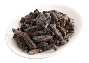Kansai Sea Cucumber (Featured) (B Grade)