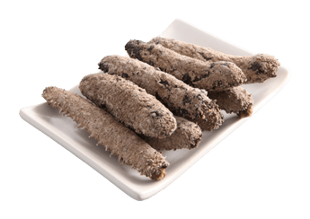 Okiko Sea Cucumber