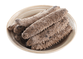 Okiko Sea Cucumber
