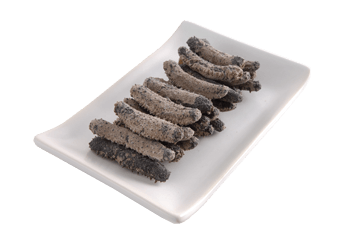 Okiko Sea Cucumber
