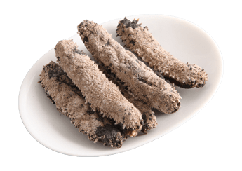 Okiko Sea Cucumber (B Grade)