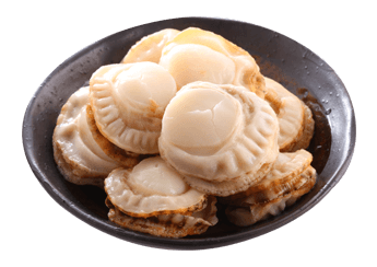 Frozen baby Scallop