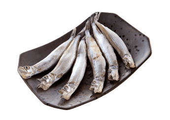 Frozen shishamo smelt