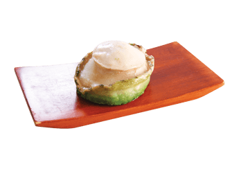 Australian Greenlip Abalone