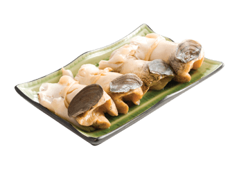 American Frozen Conch (XL)