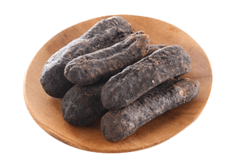 Australian Prickly Sea Cucumber