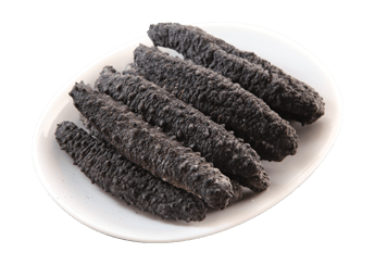 Turkish Prickly Sea Cucumber
