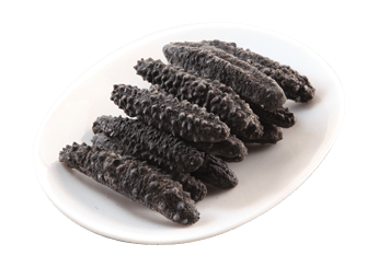 Turkish Prickly Sea Cucumber