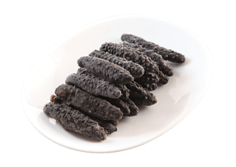 Turkish Prickly Sea Cucumber