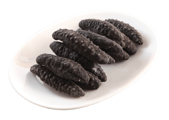 Turkish Spiky Sea Cucumber