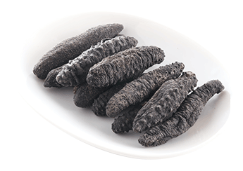 Turkish Prickly Sea Cucumber (B Grade)