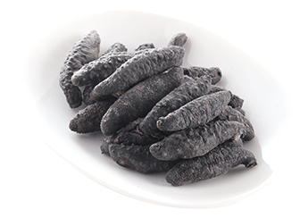 Turkish Prickly Sea Cucumber (B Grade)