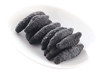 Turkish Spiky Sea Cucumber (B Grade)