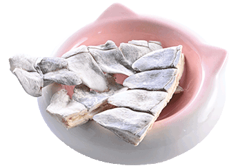 Thai Freeze-dried crocodile dorsal fin